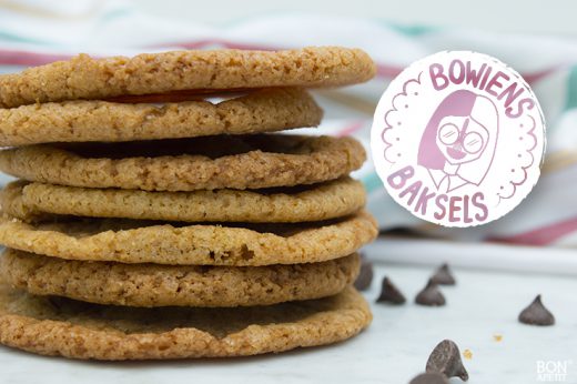 CHOCOLATECHIPKOEKJES
