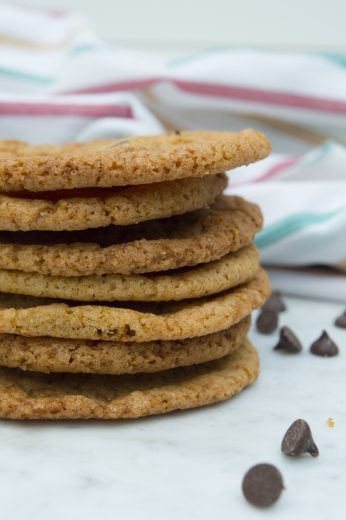 CHOCOLATECHIPKOEKJES