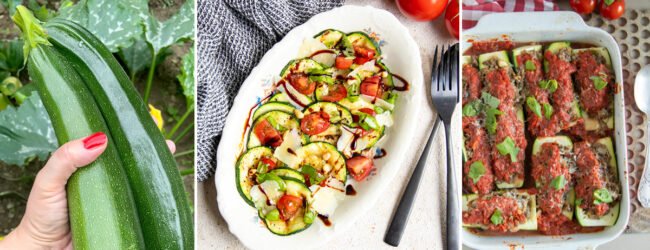banner courgette